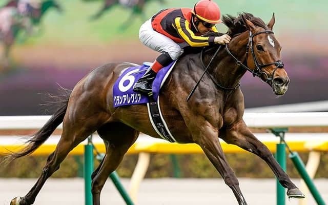 【安田記念】時計勝負に強いタイプのグランアレグリア　重〜不良ならば伏兵の台頭も/栗山求