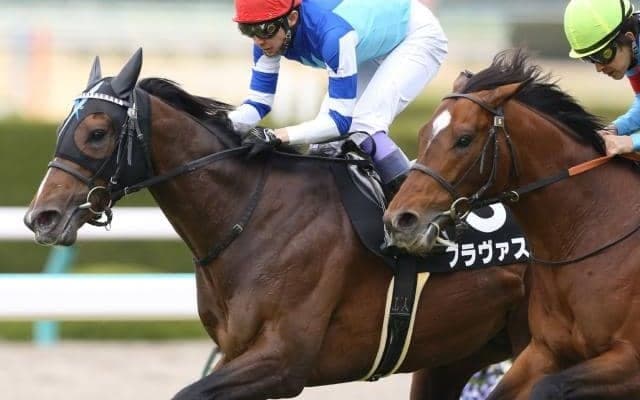 【鳴尾記念展望】宝塚記念に向けた一戦、好走の条件とは