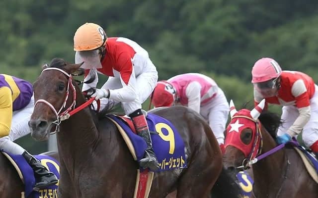 1着賞金27万円→1000万円に！ 売上好調の高知競馬で行われるダービー“高知優駿”/斎藤修