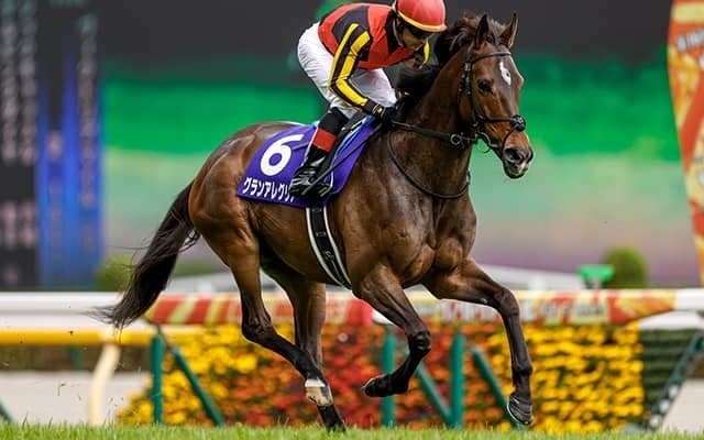 【安田記念予想オッズ】グランアレグリアが単勝1.3倍で予想1番人気に