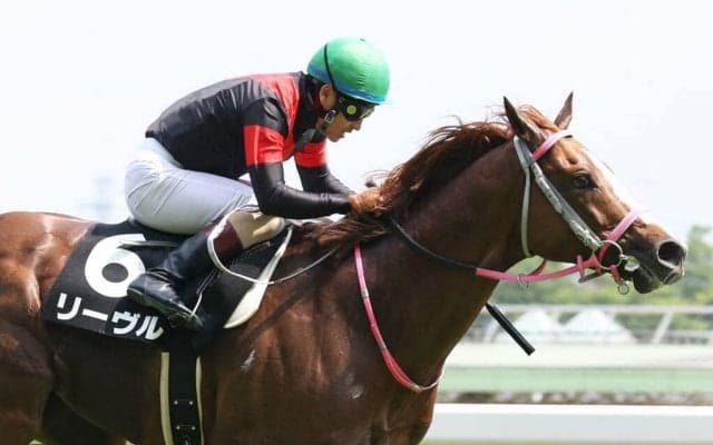 【青嵐賞】吉田隼「展開がハマった」最低人気リーヴルがV