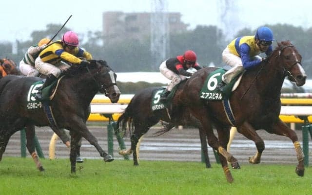 【さきたま杯】エアスピネルは2枠2番