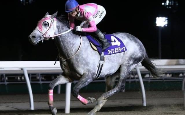 【門別競馬情報】門別全勝の王者クインズサターン、重賞2連勝へ驀進！リンノレジェンドらの巻き返しにも注目「第58回赤レンガ記念H2」/地方競馬情報