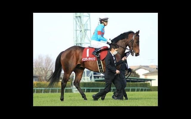 安田記念は人気落ちＧＩ馬と上がり馬がオイシイ配当を運んできてくれる