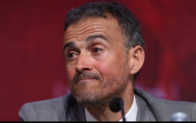 スペイン代表指揮官、ユーロに向けて自信見せる「我々が優勝候補」