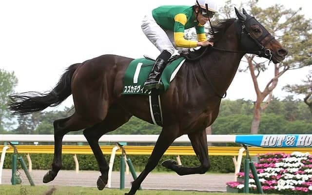 【中京1R・障害OP】10歳馬スズカデヴィアスが予後不良　2018年の新潟大賞典覇者