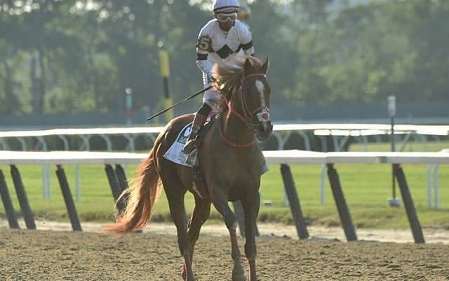 【米・ベルモントS】日本馬フランスゴデイナ、競走中止も…森師「特段問題なく元気そう」