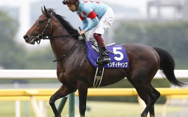 【安田記念予想】現役最強マイラーはグランにあらず すべてのデータを取り込んだAIが判定したのは…/JRA重賞レース展望