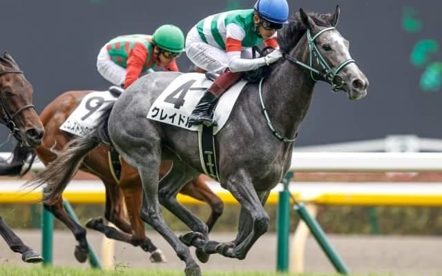 【東京5R新馬戦結果】2番人気クレイドルが初陣飾る