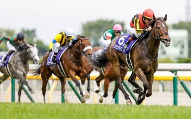【安田記念予想】前走ヴィクトリアMからの勝利ならウオッカ以来 グランアレグリアからの妙味ある相手馬とは?