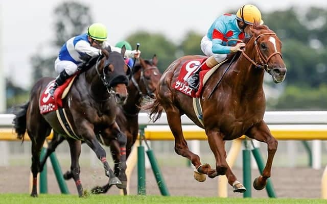 【安田記念予想】コース適性と距離適性を武器に打倒グランアレグリアを目論むサリオス