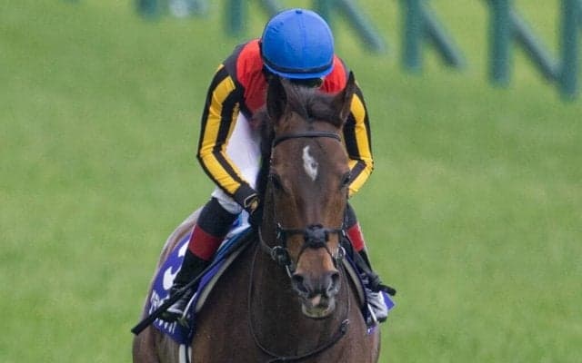 【安田記念】ルメール「手応えが前回と違った」グランアレグリアはまさかの2着