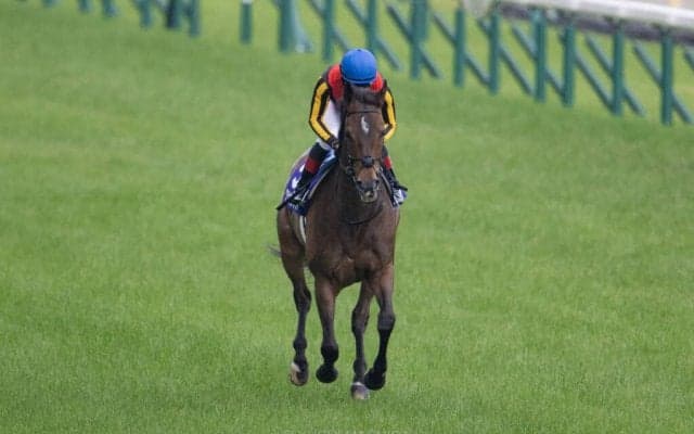 【安田記念】ルメール「苦しそうだった」レース後ジョッキーコメント