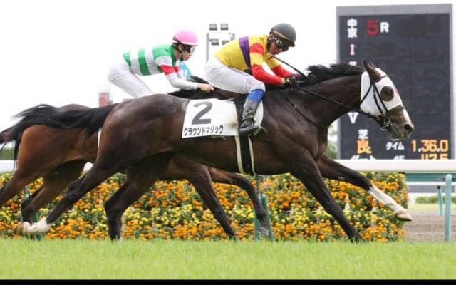 【新馬/中京5R】2歳一番星はクラウンドマジック