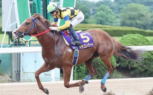 19年ぶりの記録更新へ！ 「スーパーゴールデンルーキー」飛田愛斗騎手