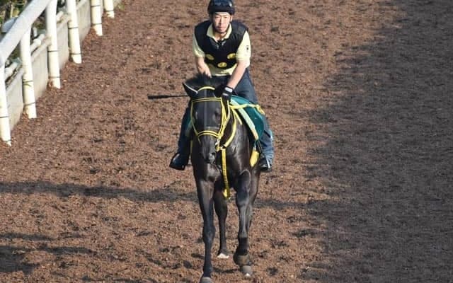 ワイドカイザーなど、先週のゲート試験/栗東トレセンニュース