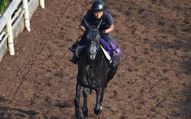 クロノジェネシスなど、先週の入厩情報/栗東トレセンニュース