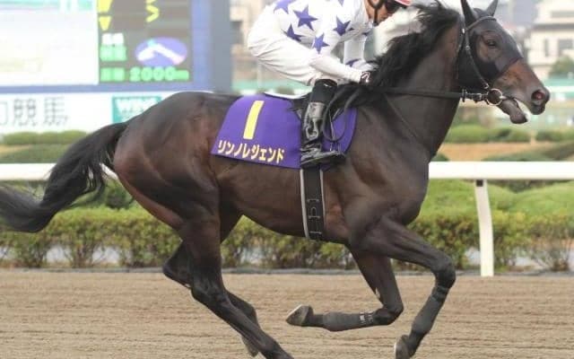 【門別競馬情報】赤レンガ記念快勝リンノレジェンドは盛岡マーキュリーカップJpnIIIに挑戦も。今夜メイン12Rは「ダンカーク賞」