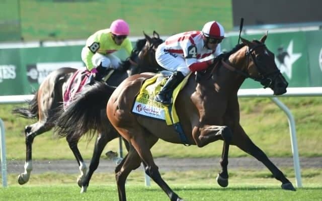 C.ブラウン厩舎にまたしても芝の大物誕生