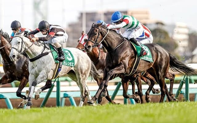 【函館スプリントS予想オッズ】良血カレンモエが単勝1.9倍で抜けた予想1番人気に