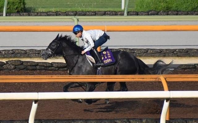 クロノジェネシス、宝塚記念2週前追い切り速報/栗東トレセンニュース