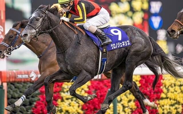 【宝塚記念想定】グランプリ3連覇狙うクロノジェネシス、無敗で大阪杯制したレイパパレなど