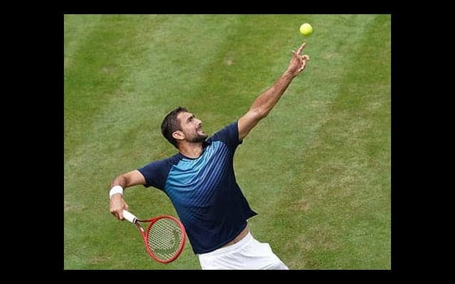 チリッチ 今季芝初戦白星