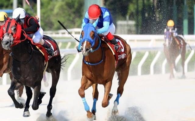 【兵庫ダービー結果】スマイルサルファーが接戦制し重賞初制覇