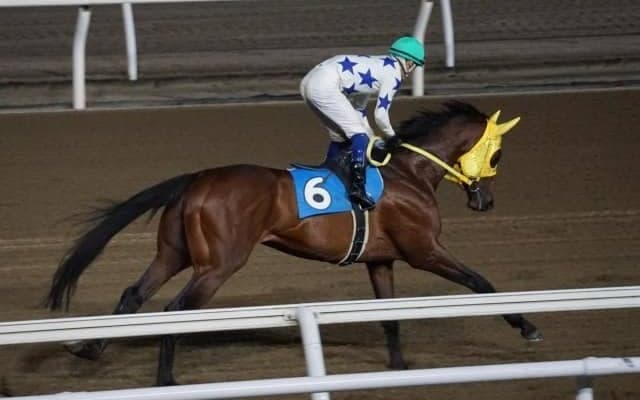 【門別競馬情報】JRA北海道シリーズも始まる中、絶好調つづくホッカイドウ競馬。今週ラスト開催のメイン12Rは「ウインブライト賞」/地方競馬情報