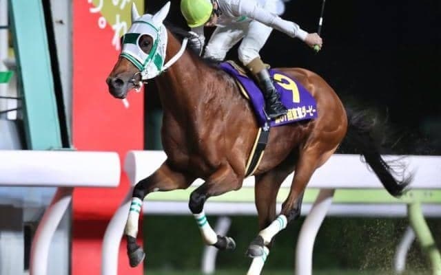 【大井・東京ダービー結果】2歳王者アランバローズが逃げ切り戴冠！