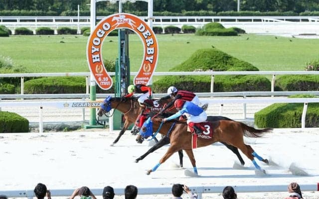 【兵庫ダービー】スマイルサルファーが大外強襲でV