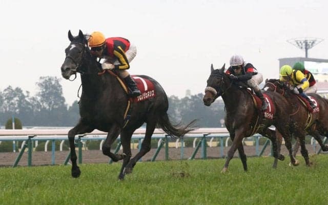 宝塚記念ファン投票 最終結果発表！