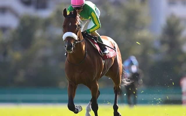 【エプソムC予想】良馬場でこそ真価を発揮？ 人気急落で狙いたい重賞馬とは？