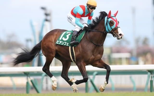 【函館スプリントS予想】開幕週の札幌を制するのは抜群のスピードと加速力を武器にする実績馬