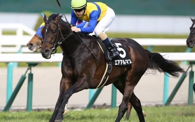 【エプソムC予想】AIの本命候補は帯封狙いの超穴 誰も予想しない2年連続の大波乱を獲る/JRA重賞レース展望