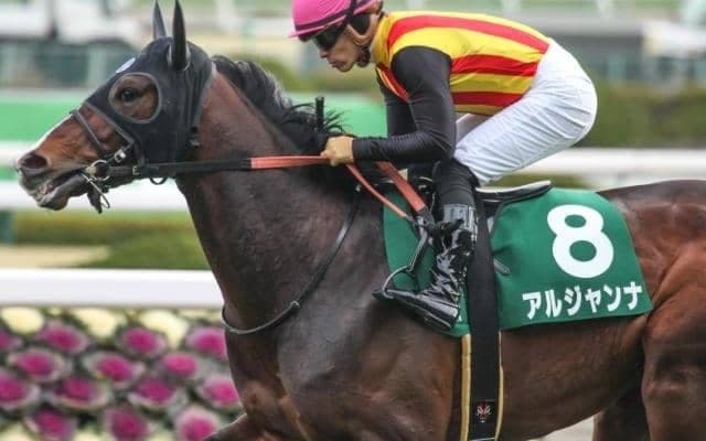 【本日の注目ポイント】東京でエプソムC、札幌で函館スプリントS