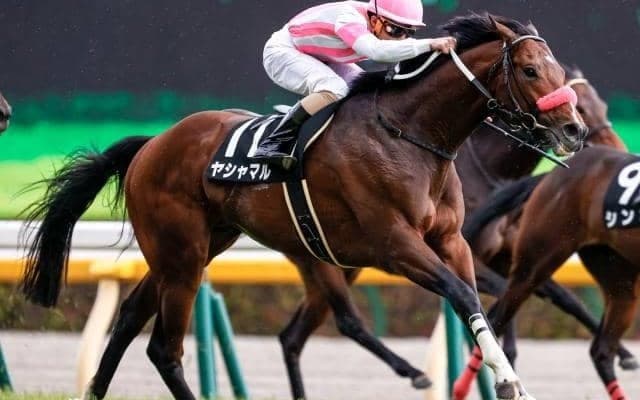 【WIN5予想】エプソムCは“東京巧者”を素直に重視したい/伊吹雅也