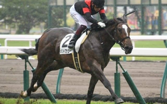 【中京5R新馬戦結果】メリトクラシーが逃げ切りV　シルバーステート産駒初勝利