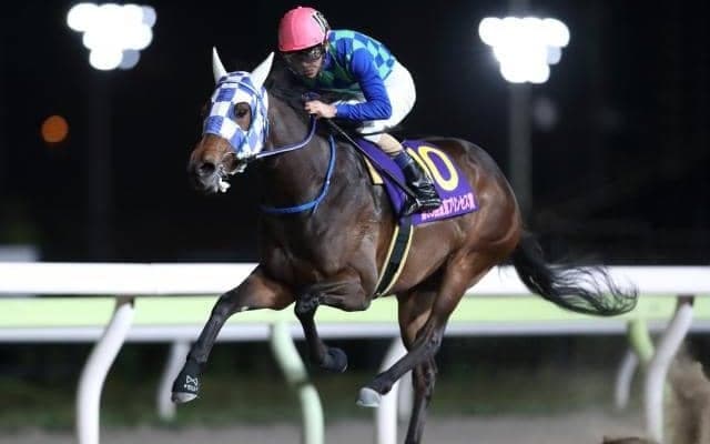 【川崎・関東オークス枠順確定】ケラススヴィアは6枠7番、ウェルドーンは5枠6番