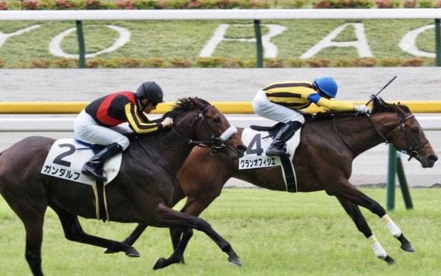 【東京8R】良血グランオフィシエが連勝