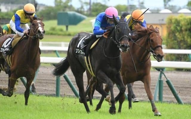 ダートGIIIユニコーンSとハンデGIIIマーメイドS/今週の競馬界の見どころ