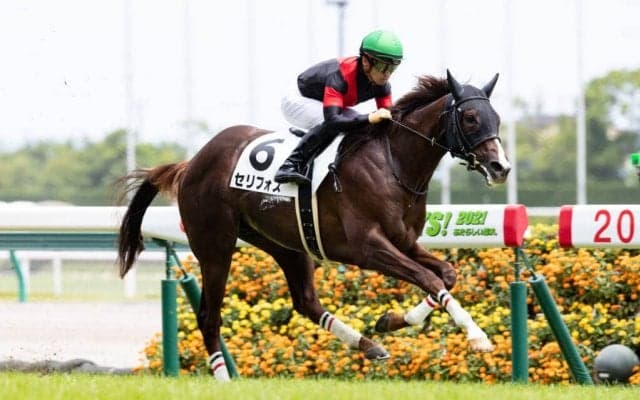 【新馬/中京5R】ダイワメジャー産駒 セリフォスがデビューV！