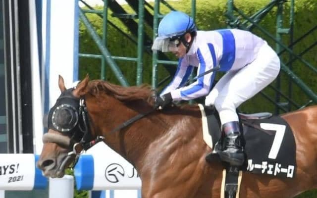 【ユニコーンS見どころ】マクフィ産駒ルーチェドーロが人気の中心か