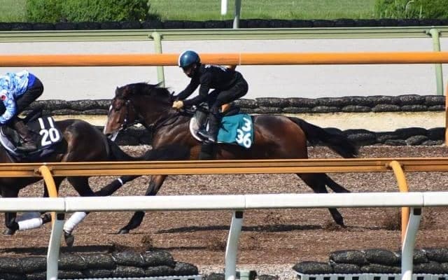 母は海外重賞3勝、ダノンスコーピオンが阪神芝マイルでデビュー/関西馬メイクデビュー情報