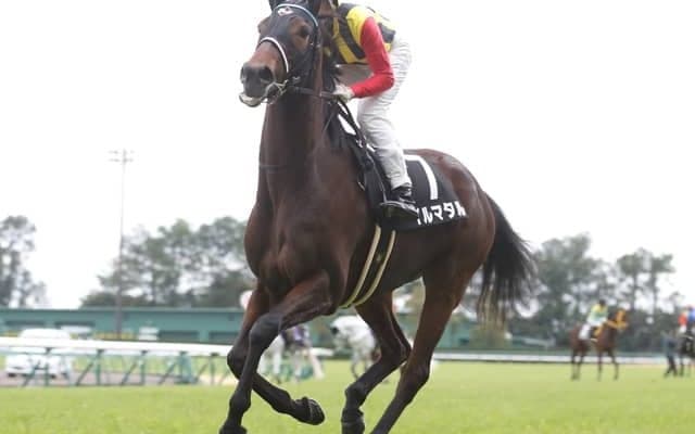 【マーメイドS予想】穴党のための重賞到来！毎年荒れる超難解レースでAIの指名激走馬は格上挑戦の超人気薄/JRA重賞レース展望