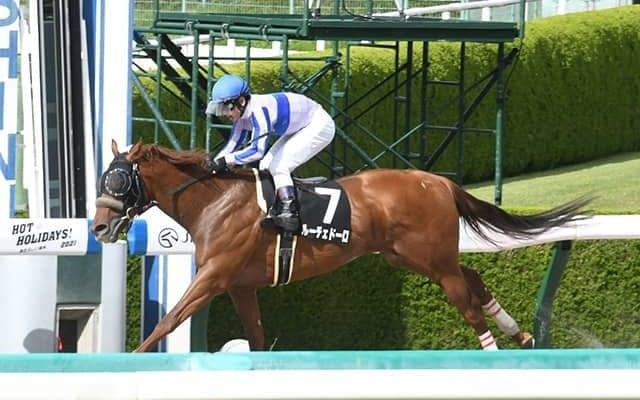 【ユニコーンS予想オッズ】ルーチェドーロが単勝2.4倍で予想1番人気に