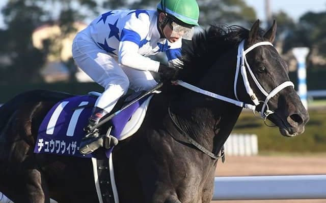 【帝王賞】JRA所属の選定馬発表　チュウワウィザード、オメガパフューム、オーヴェルニュなど