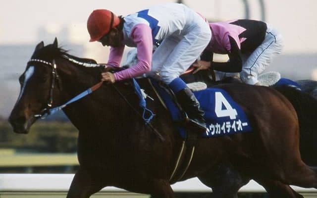 トウカイテイオー最後の産駒、キセキノテイオーが競走能力・発走調教検査に受からず