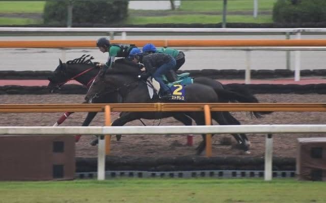 アリストテレス、宝塚記念1週前追い切り速報/栗東トレセンニュース