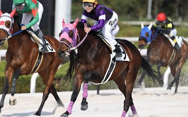 デビュー年から活躍！ 二桁勝利をあげる兵庫の新人騎手たちの共通点